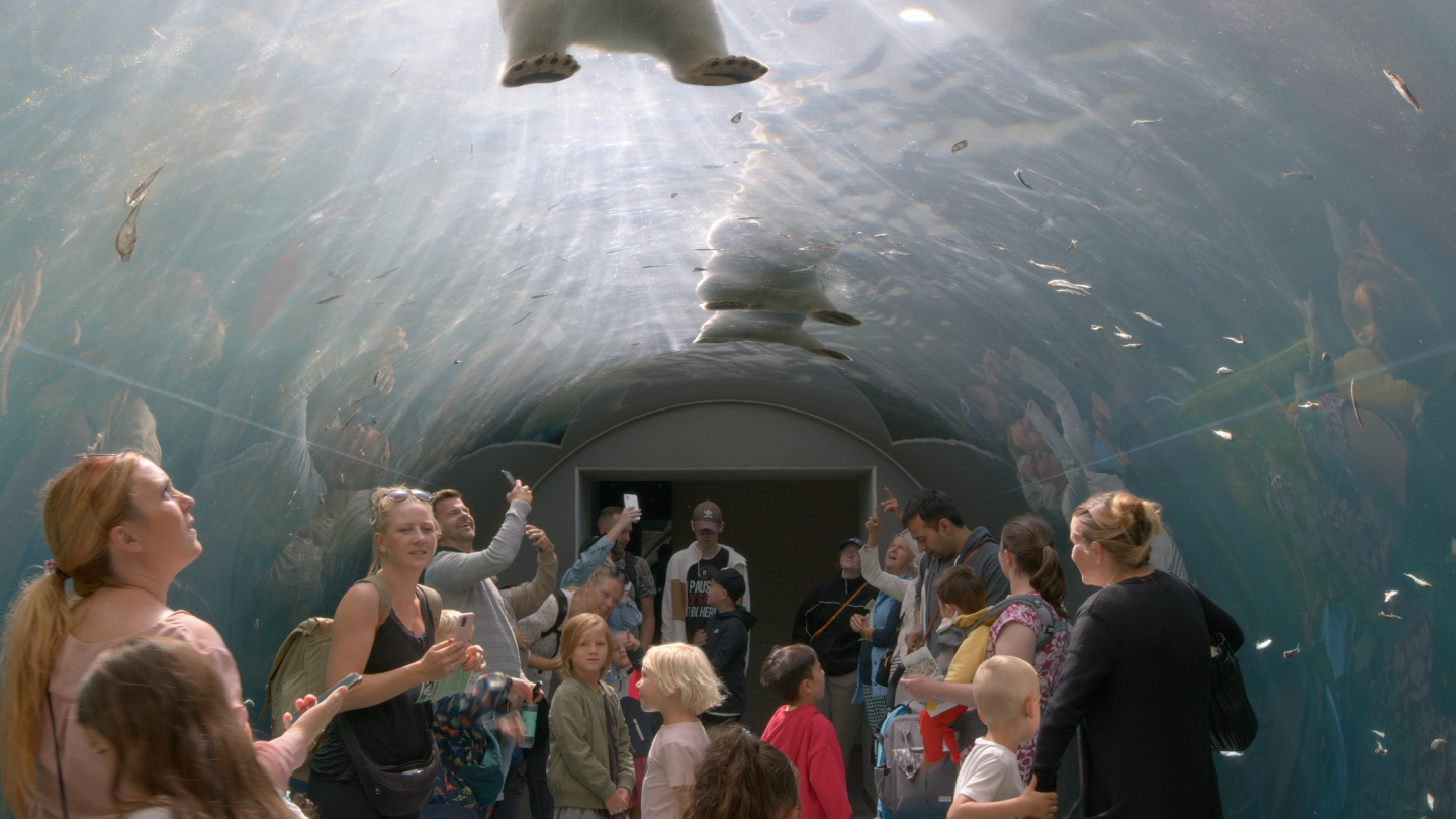 Isabella Rossellini Narrates ‘Unanimal’ on Relationship Between “Humans and Other Animals”